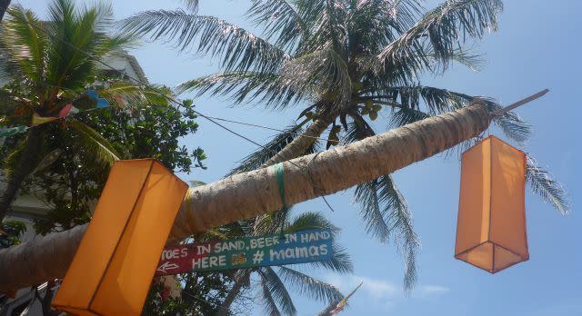 Sri lanka Reisebericht - Laternen in den Bäumen