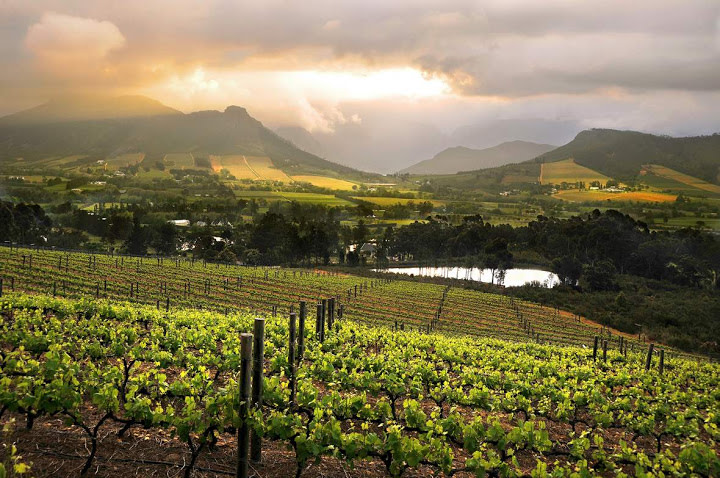 Cape Winelands panorama with Enchanting Travels