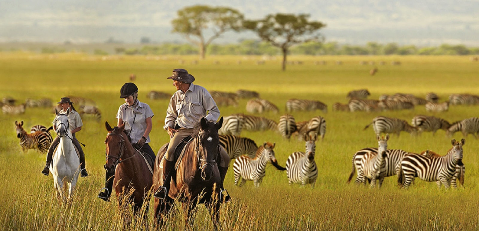 Tanzania Tours - horse riding