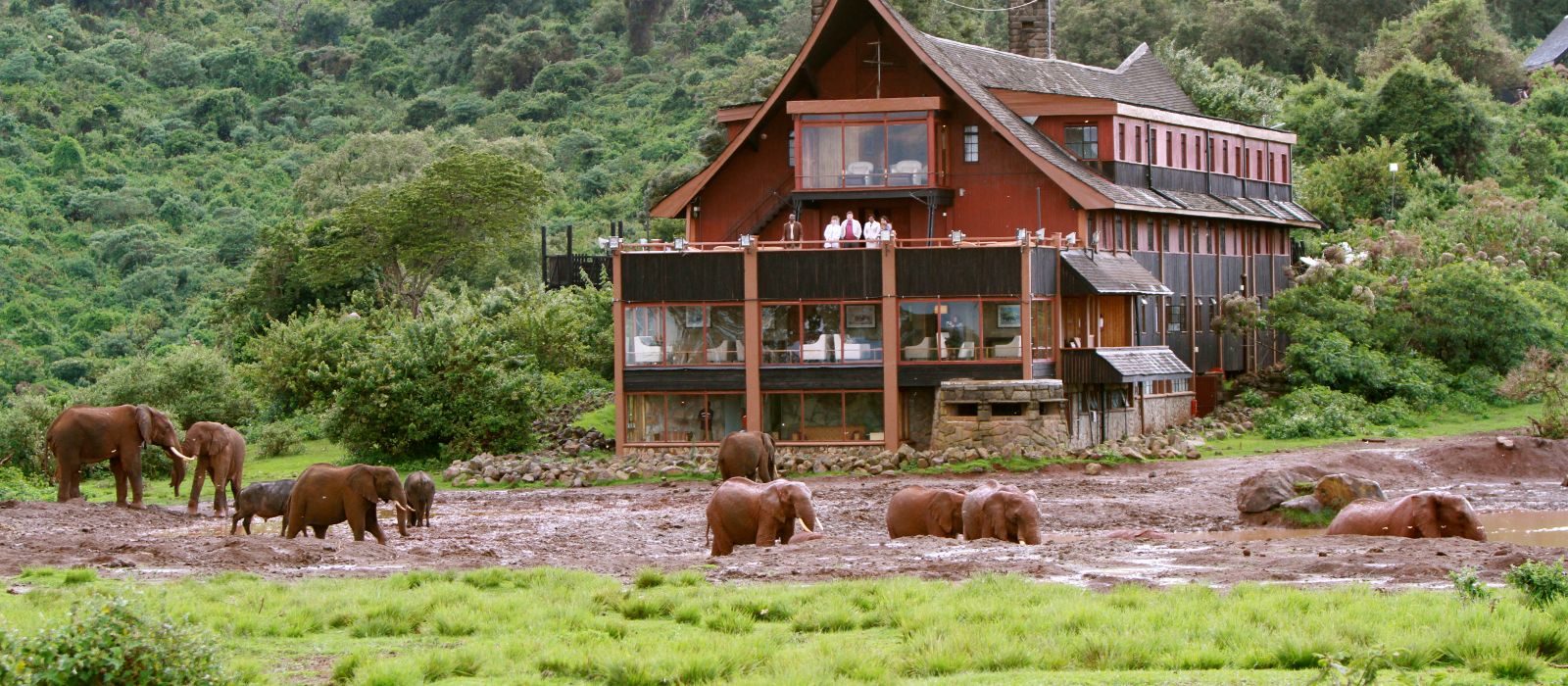 The Ark Hotel in Kenya ENCHANTING TRAVELS