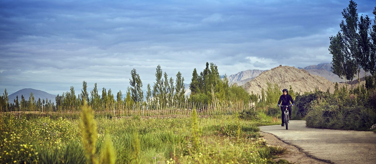 Exclusive Travel Tips for Nubra Valley in Himalayas