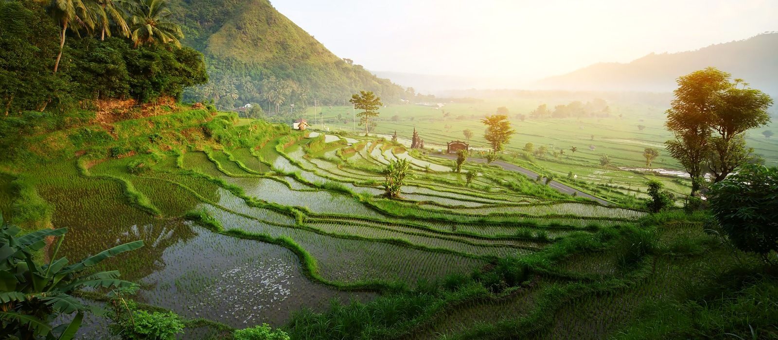Festive Special: Indonesias Timeless Landscapes and Unique Culture Festive Special: Indonesias Timeless Landscapes and Unique Culture