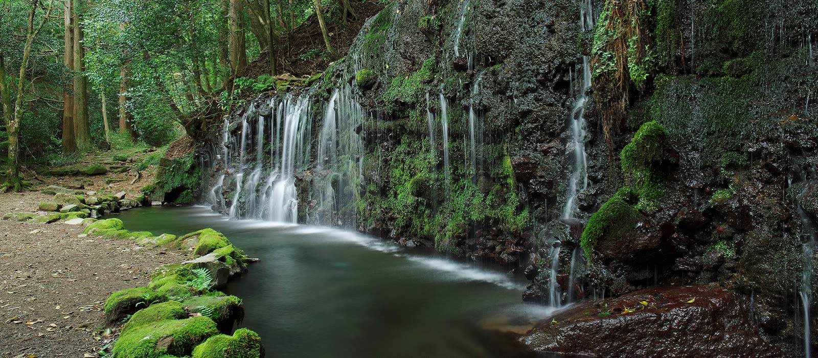 Exclusive Travel Tips for Your Destination Hakone in Japan