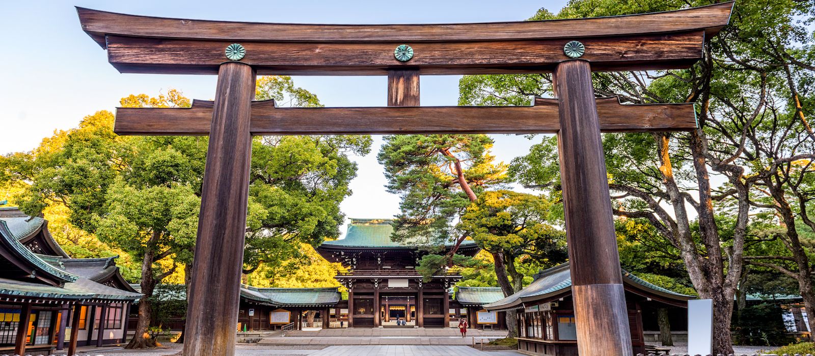 Exclusive Travel Tips For Your Destination Kyoto In Japan