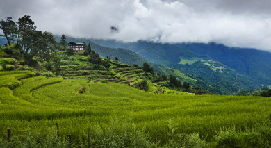Empfohlene Individualreise, Rundreise: Himalaya und Inselparadies – Bhutan & Thailand Luxusreise Empfohlene Individualreise, Rundreise: Himalaya und Inselparadies – Bhutan & Thailand Luxusreise