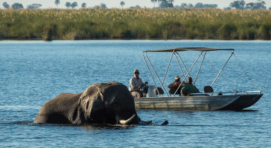 Empfohlene Individualreise, Rundreise: Safari Höhepunkte: Tansania, Simbabwe und Botswana Empfohlene Individualreise, Rundreise: Safari Höhepunkte: Tansania, Simbabwe und Botswana