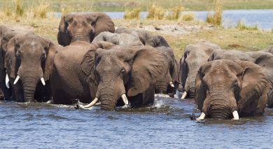 Example private tour: Victoria Falls & Botswana Highlights Example private tour: Victoria Falls & Botswana Highlights
