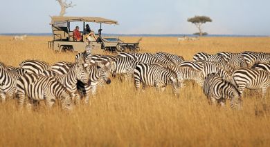 Empfohlene Individualreise, Rundreise: Von Kenia bis zur Gewürzinsel: Safari & Sansibar Empfohlene Individualreise, Rundreise: Von Kenia bis zur Gewürzinsel: Safari & Sansibar