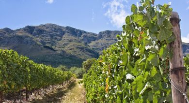 Example private tour: South Africa – Western and Eastern Cape Example private tour: South Africa – Western and Eastern Cape
