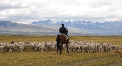 Example private tour: Chile: Signature Landscapes Example private tour: Chile: Signature Landscapes