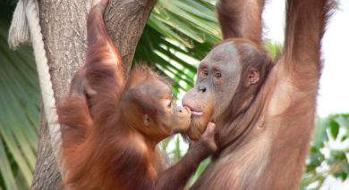 Example private tour: Mesmerizing Singapore & Malaysia Example private tour: Mesmerizing Singapore & Malaysia