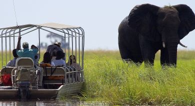 Example private tour: Southern Africa: Wildlife, Rovos Luxury and Cape Town Example private tour: Southern Africa: Wildlife, Rovos Luxury and Cape Town