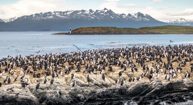 Example private tour: Adventures of the Southern Ocean: Falklands, South Georgia & Antarctica Example private tour: Adventures of the Southern Ocean: Falklands, South Georgia & Antarctica