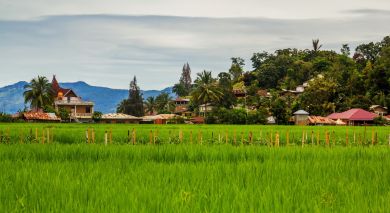 Empfohlene Individualreise, Rundreise: Die Highlights von Sulawesi und Sumatra Empfohlene Individualreise, Rundreise: Die Highlights von Sulawesi und Sumatra