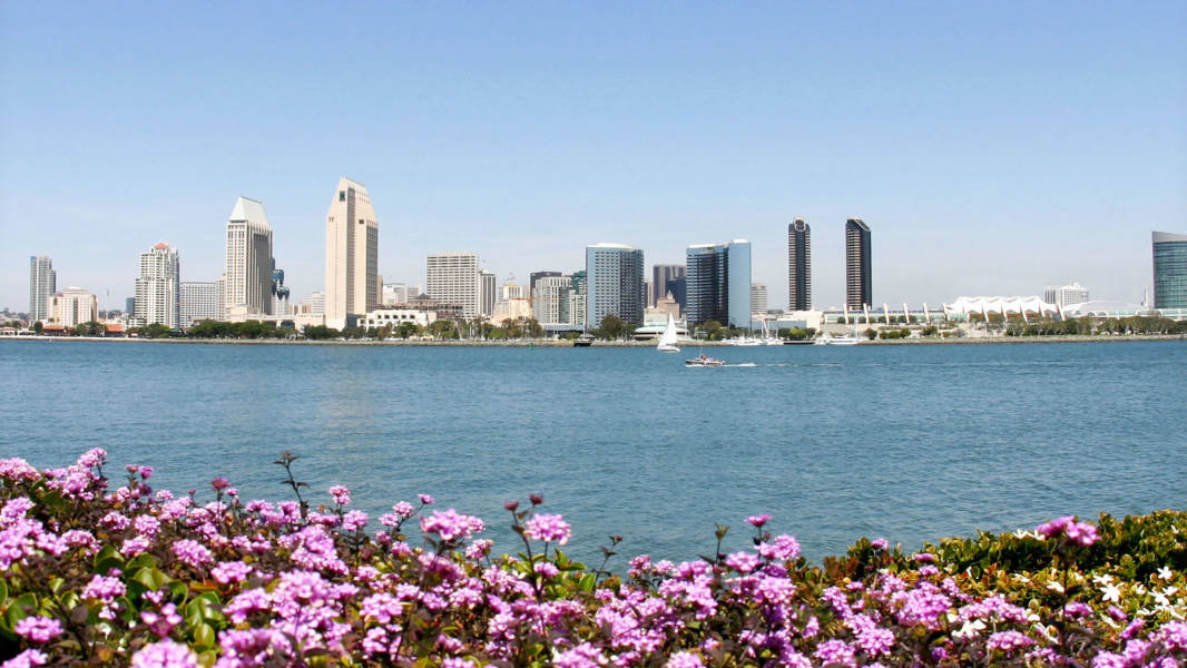 Downtown skyline