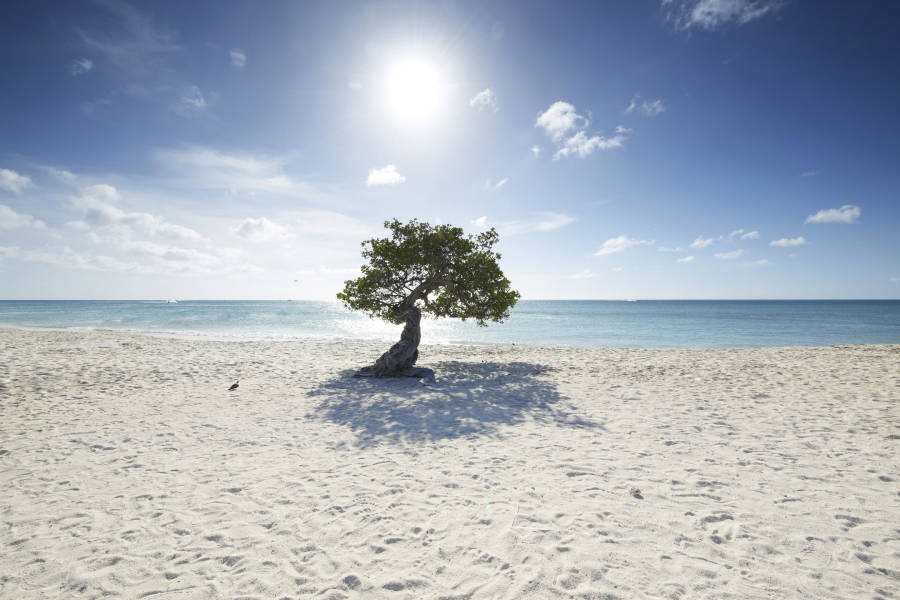 a man standing on top of a sandy beach
