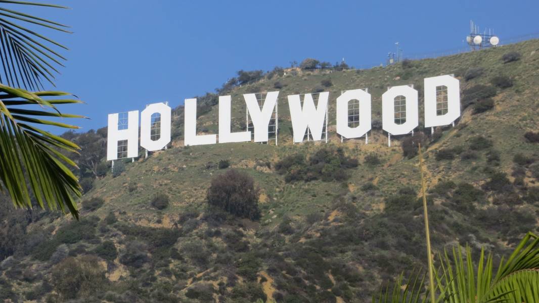 a group of palm trees on a sunny day with Hollywood Sign in the background
