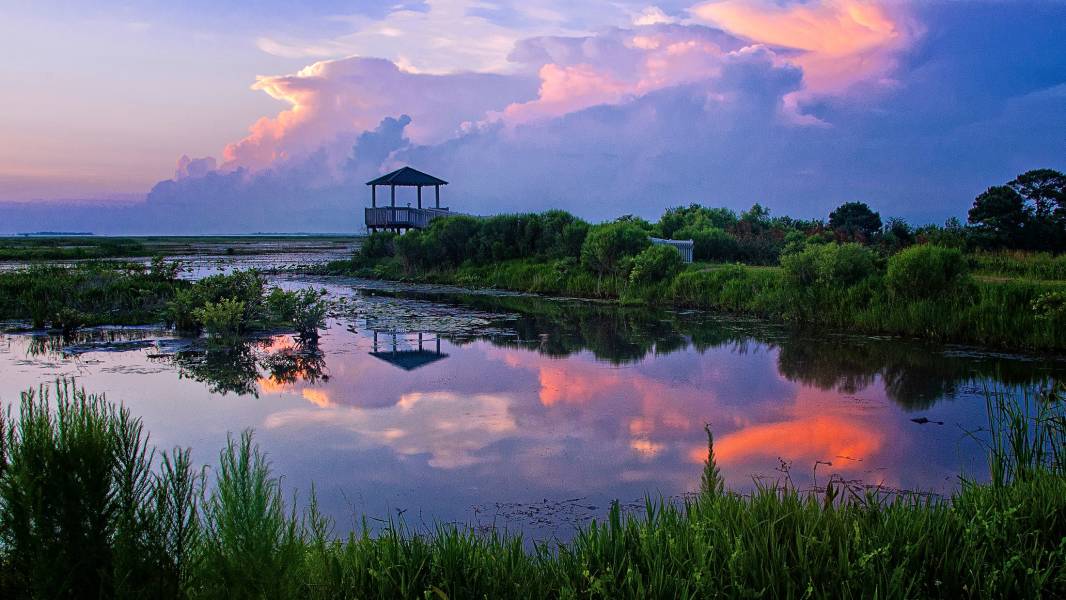 Lacassine National Wildlife Refuge