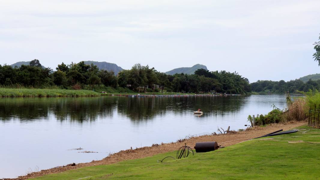 a herd of cattle walking across a river next to a body of water