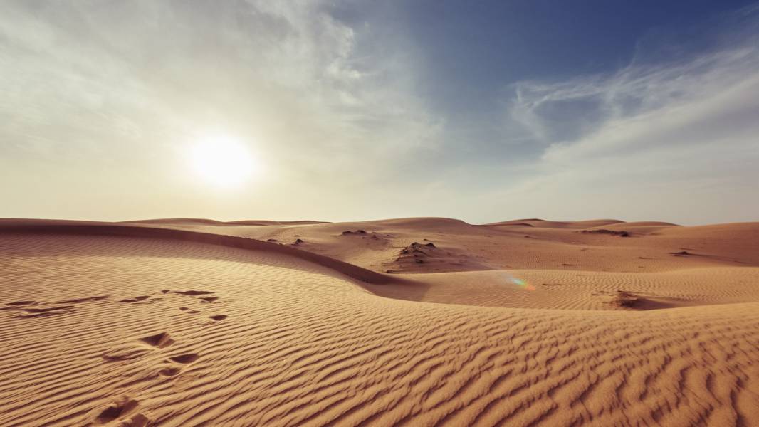 a bed in the sand