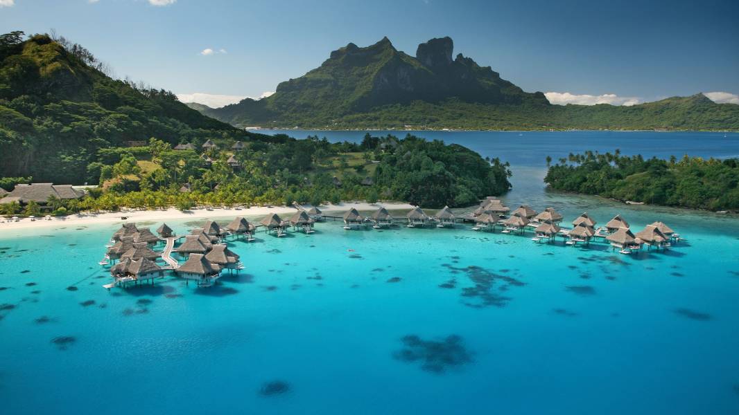 a group of people swimming in a body of water
