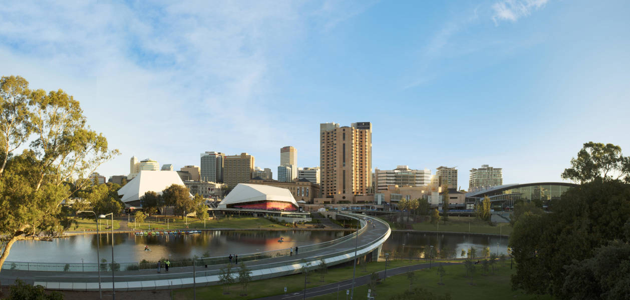 a bridge over a body of water with a city in the background