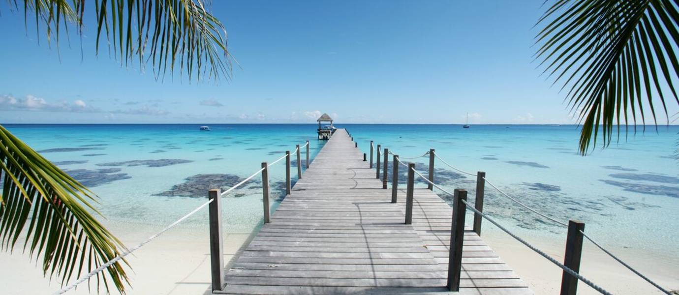 a beach with a palm tree sitting next to a body of water