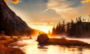 Yellowstone National Park