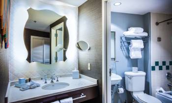 a double sink and large mirror