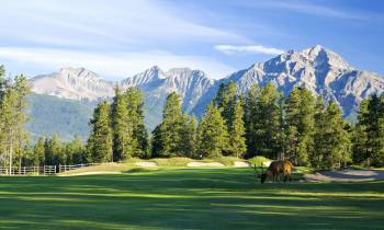 a horse grazing in a field with a mountain in the background