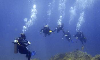 Diving