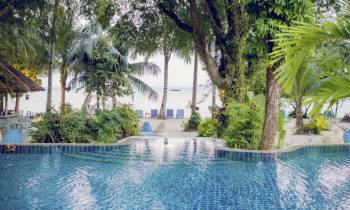 a pool next to a body of water surrounded by palm trees