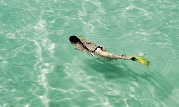 Snorkelling