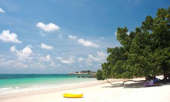 a boat sitting on top of a sandy beach