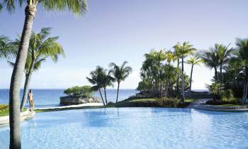 a palm tree in front of a body of water