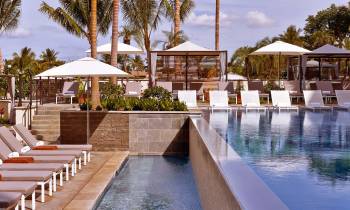 a group of palm trees next to a pool