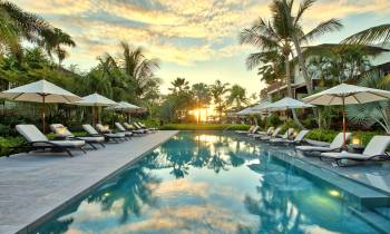 a pool next to a palm tree
