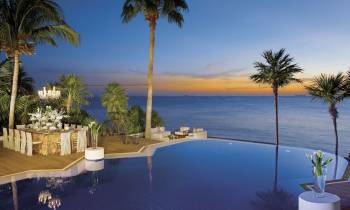 a palm tree in front of a body of water
