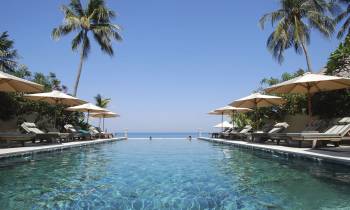 a group of palm trees next to a pool of water