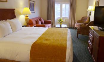 a bedroom with a large bed in a hotel room