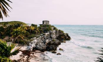 a palm tree on a rocky beach with Tulum in the background