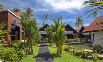 a palm tree in front of a house