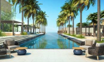 a pool next to a palm tree