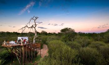 Chalkley Treehouse