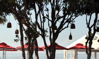 Beach Bar