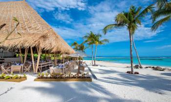 a beach with palm trees