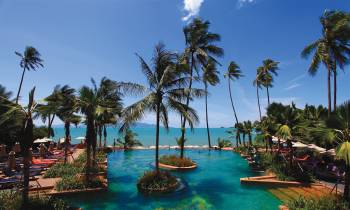 a group of palm trees next to a body of water