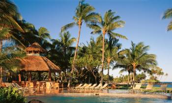 a body of water surrounded by palm trees
