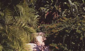 Waterslides