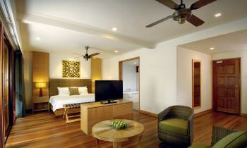 Rainforest Studio